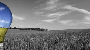 TO BE CREATIVE AGAIN