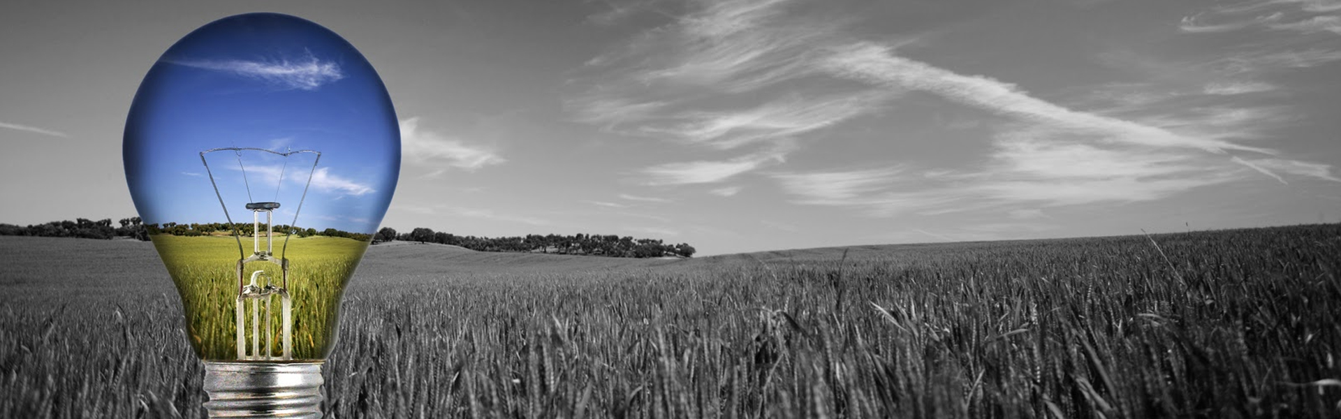 TO BE CREATIVE AGAIN